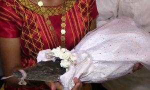 1498986667krokodil