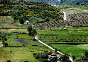 mallakastra-village-landscape-artur-gjino-