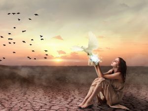 Girl-and-birds-sunset-creative-picture_1600x1200