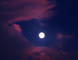 pexels-aron-visuals-4160053