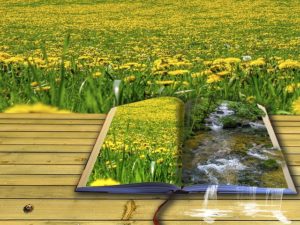 picture-book-gebd3d5d42_640